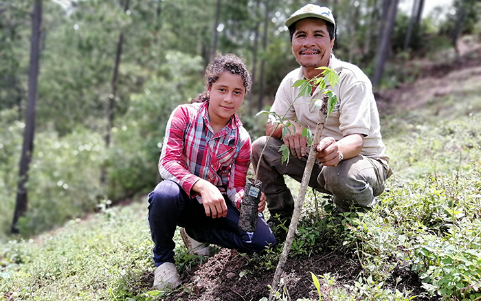 Two people, a young girl and an older man, smile as they plant a small sapling on a hillside in a forested area, kneeling and posing with the young tree.