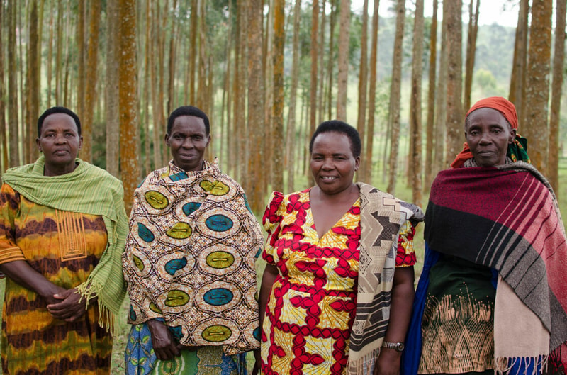 Four African women stand side by side in a forest of tall, slender trees, each wearing colorful patterned traditional clothing and shawls.
