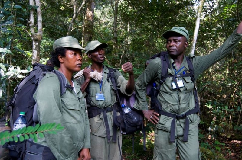 Three uniformed forest rangers stand in dense green foliage, backpacks and gear, one raising an arm as if giving directions or signaling.