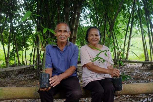 Two older adults sit on a wooden beam under bamboo, each holding a small potted bamboo cutting; they smile softly beside a green, leafy backdrop.