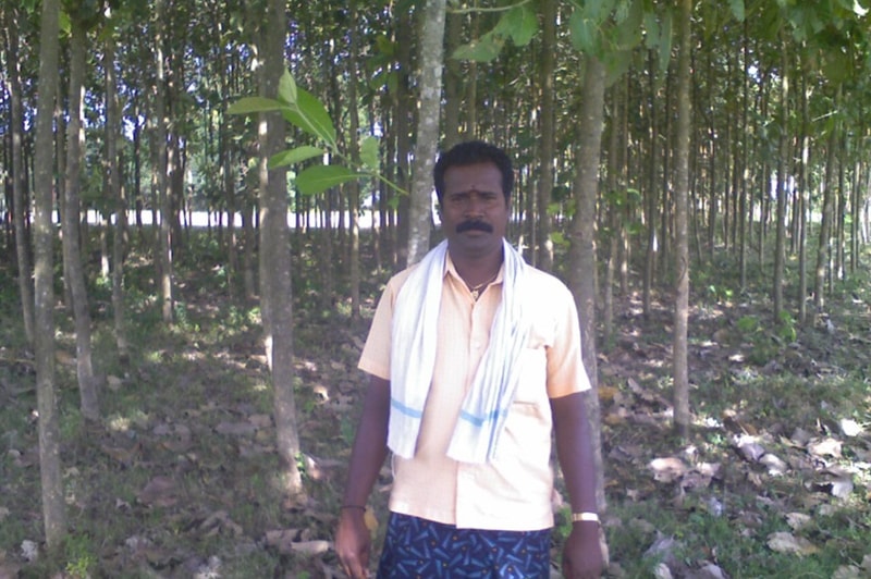 Man standing in a young plantation with evenly spaced trees, wearing a peach short-sleeve shirt, a light scarf draped around the neck, and patterned dark shorts.