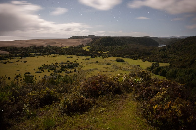 Nighttime coastal landscape with rolling dunes on left, grassy meadows and shrubland in the center, and forested hills fading to a river valley on the right under a starry sky.