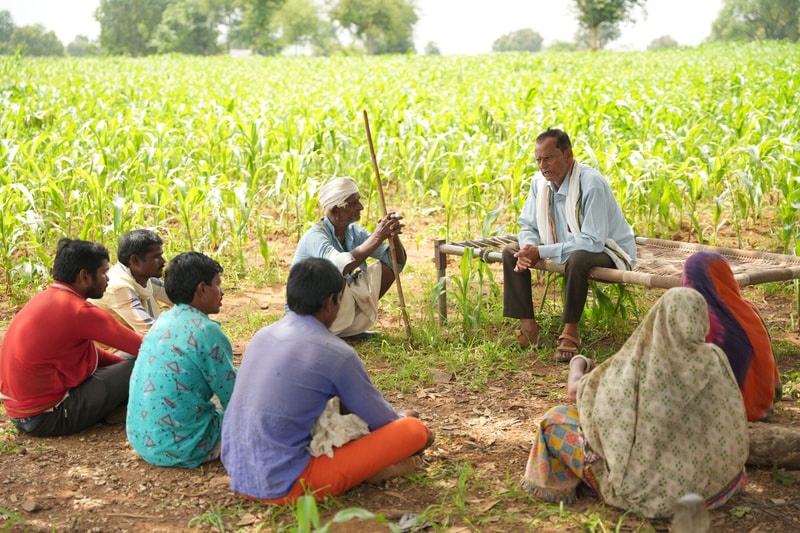Group of rural villagers sits on the ground in a cornfield, listening to an elder man with a staff and a seated man, while others in colorful clothing share a discussion.