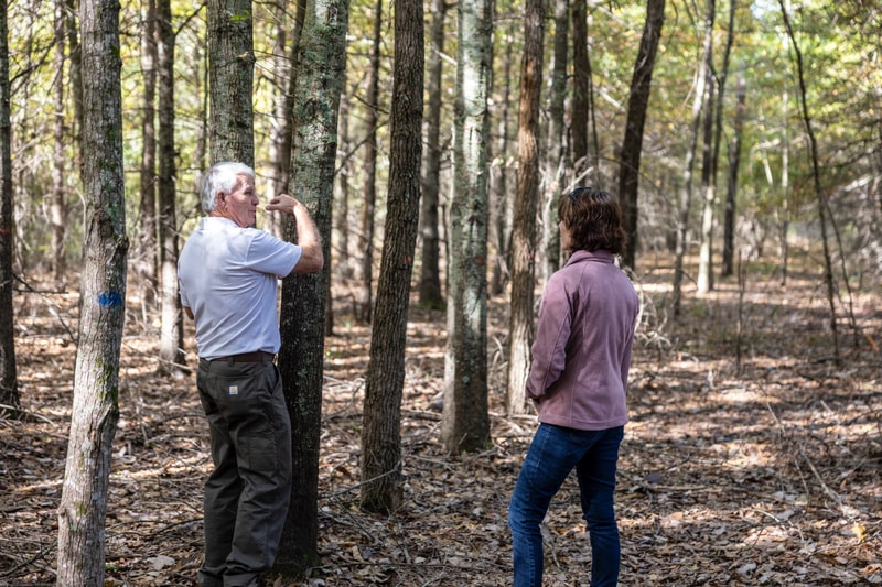 Two people stand in a sunlit forest among tall trees; an older man in a white polo gestures toward a tree while a younger person in a pink jacket watches nearby.