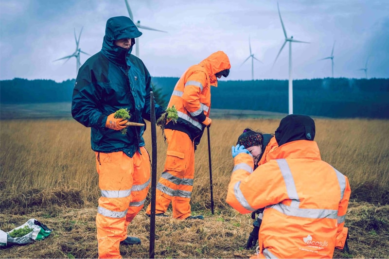 Three workers in high-visibility orange jackets and pants digging in a field with shovels, holding small plants, wind turbines in the background.