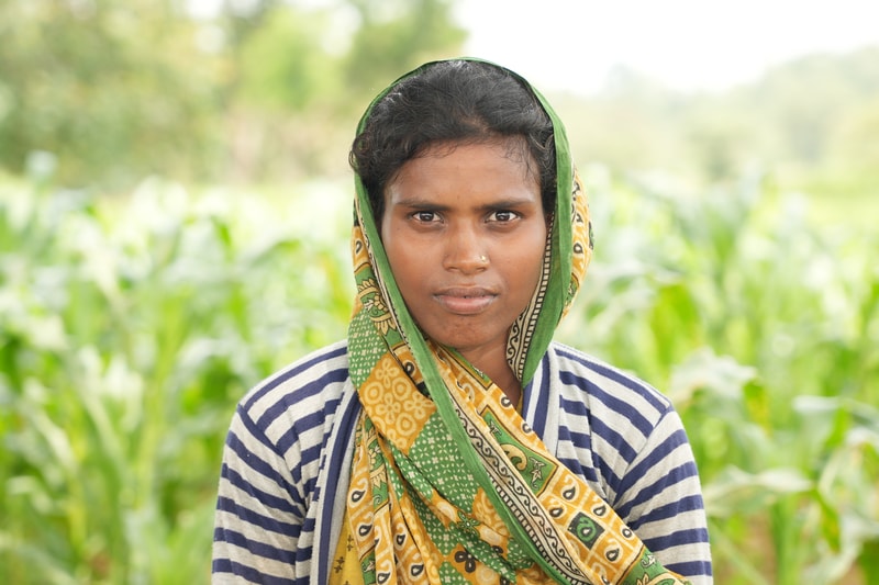 A portrait of a person with a patterned green and yellow scarf wrapped around their head, standing outdoors in a green field, wearing a blue and white striped shirt.