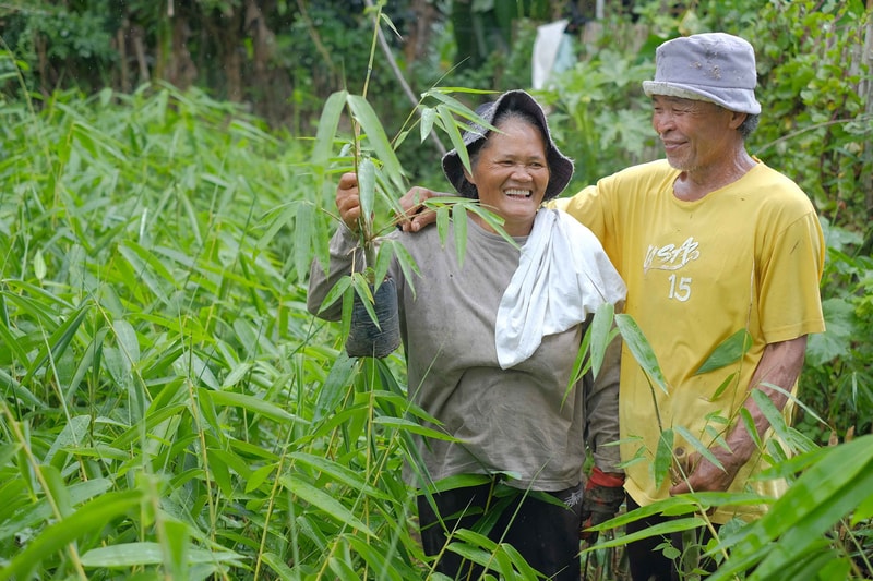 Two smiling farmers stand among tall green bamboo, the woman holding a stalk while the man in a yellow shirt and hat rests an arm around her in a lush field.