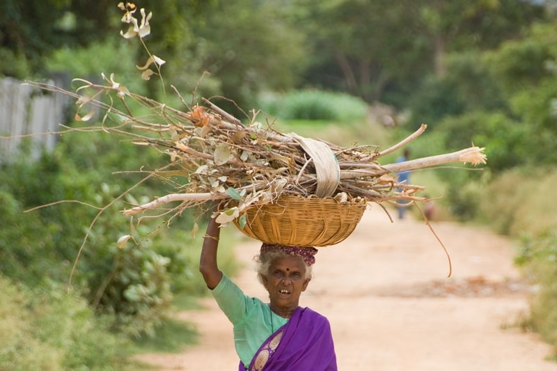 An elderly person wearing a purple and green sari balancing a large woven basket overflowing with long dry branches on their head while walking down a dirt road.