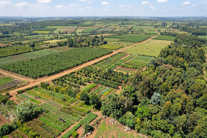 Aerial view of a lush agricultural landscape with neatly arranged crop fields, dirt roads, and patches of trees stretching to the horizon under a partly cloudy sky.