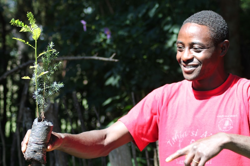 A smiling person in a red shirt holds up a small potted seedling with delicate feathery leaves outdoors, presenting it toward the camera.