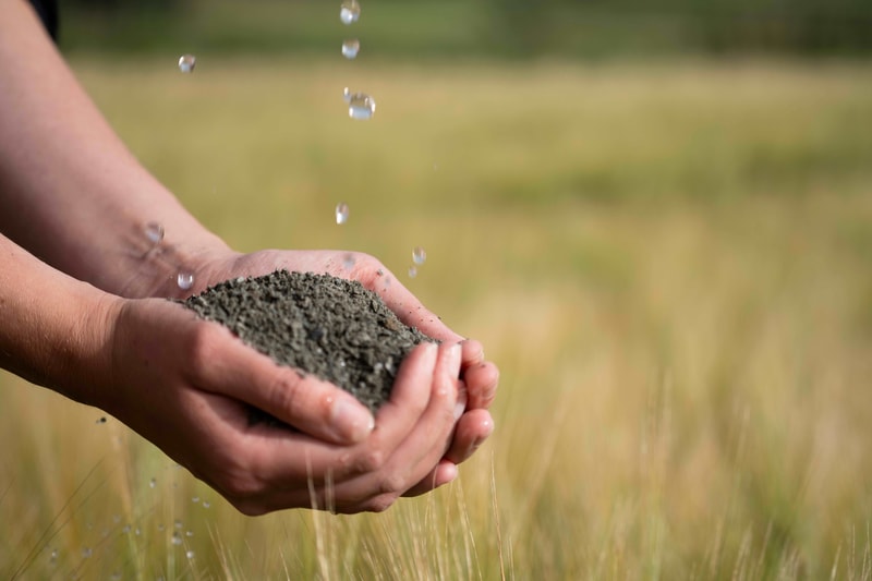 Hands cupping a handful of dirt or gravel, with droplets falling from above in a blurred field background.