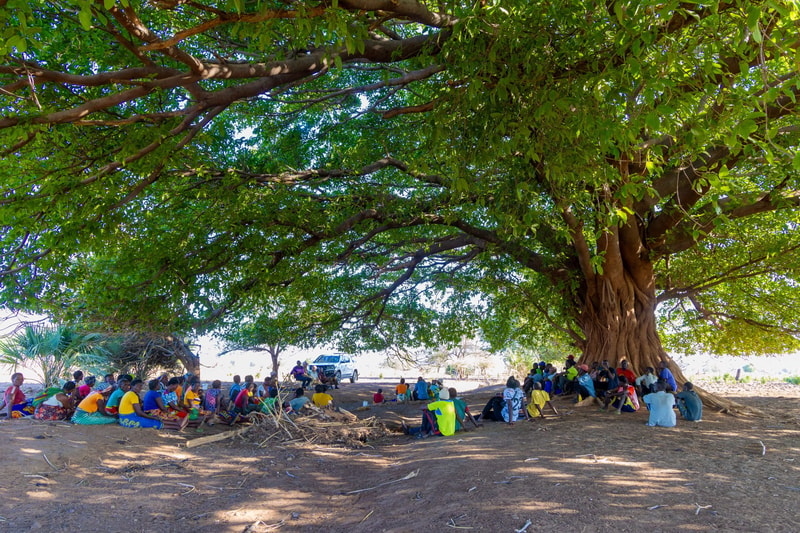A large group of people sits under a sprawling tree with a thick trunk and green leaves, gathered in a shaded clearing on a sunny day.