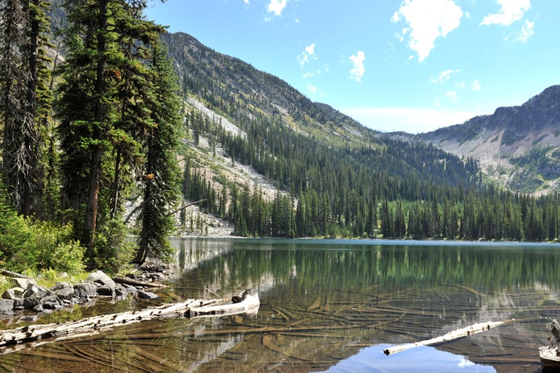 Tranquil alpine lake surrounded by dense evergreen forest and rugged mountains, with clear reflections and fallen logs along a rocky shoreline under a bright blue sky.
