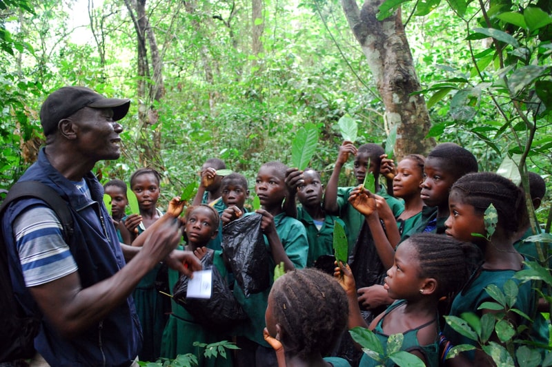 A man wearing a cap and vest speaks to a group of schoolchildren in green uniforms gathered in a lush, dense forest, each holding large green leaves.