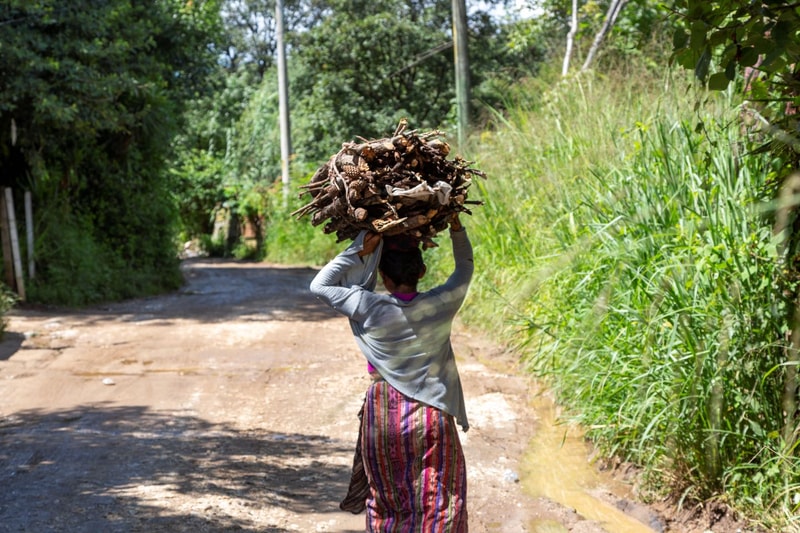 A person walking down a sunny dirt path carrying a large bundle of sticks on their head, wearing a striped skirt and gray long-sleeve top, surrounded by greenery.