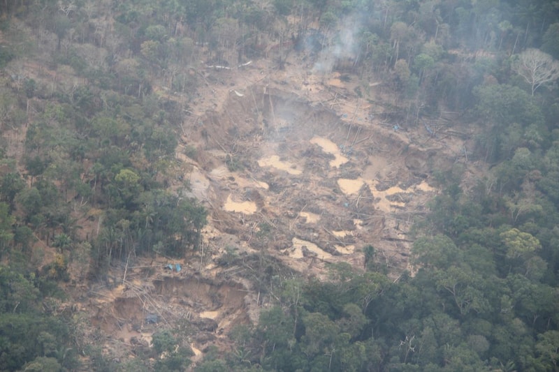 A cleared, muddy area inside a dense forest shows exposed earth, scattered debris, and thin smoke wisps rising; treetops surround the site on all sides.