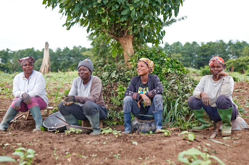 Four women wearing headscarves and boots sit on the ground in a farm field beside a leafy tree, taking a break and smiling.