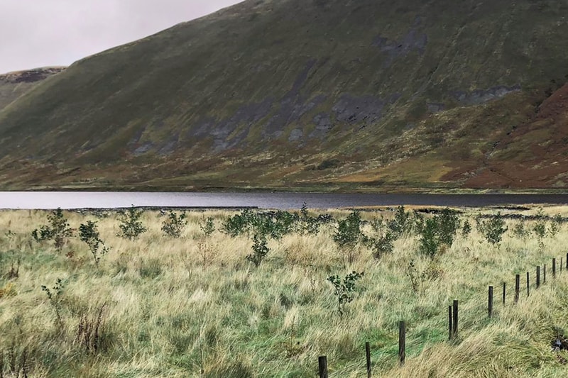 Gentle hillside with a sloping green mountain, a calm lake along the base, and a grassy foreground with small bushes and a wooden fence line on the right.