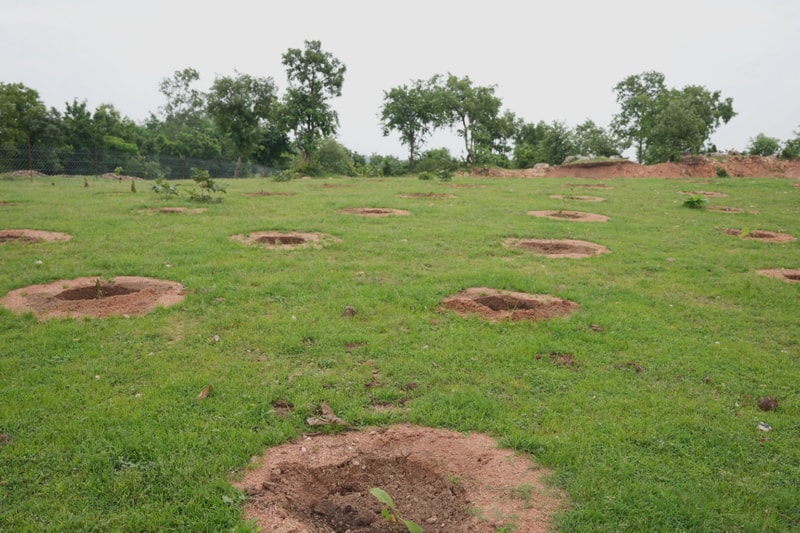 Circular holes dug in a grassy field with exposed brown soil, scattered across gently sloped ground, bordered by a distant tree line and a low fence.