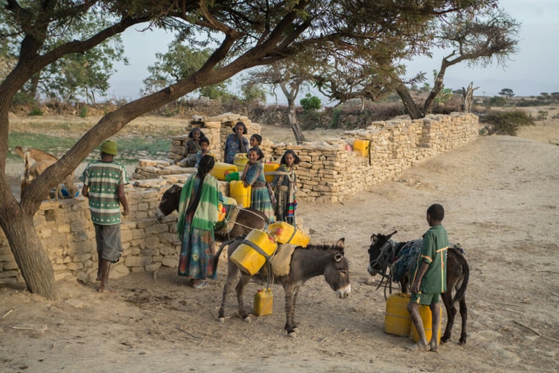 Group of children and adults gather around a stone wall in a dusty rural setting, carrying yellow jerrycans and tending two donkeys with containers. Trees shade the scene.