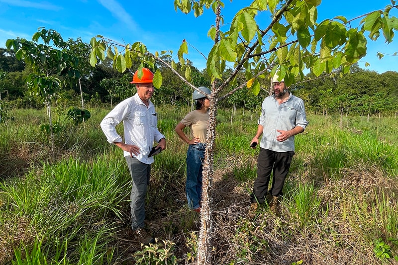 Three people stand in a grassy field around a young tree with a spiky trunk, one wearing an orange hard hat and white shirt, another in a gray shirt, and a woman in a beige top and jeans, all inspecting the tree under a clear blue sky.