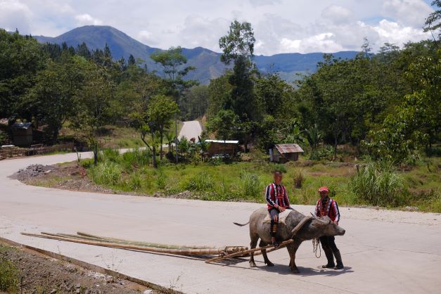 Rizome Bamboo Water Buffalo Transport Climate Care 2020