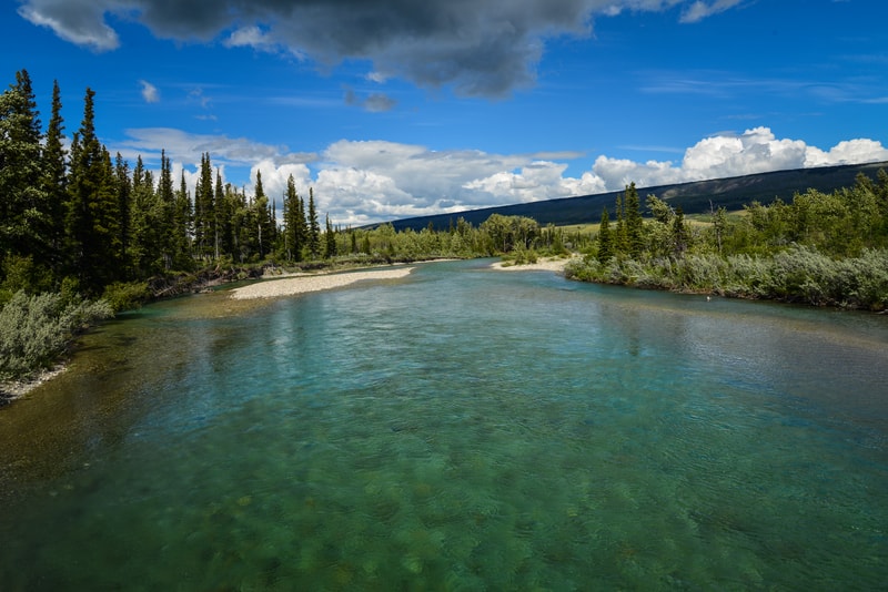 Clear turquoise river meanders through a forested valley with tall evergreen trees, a gravel shoal, and a distant rolling hillside under a bright blue sky with fluffy clouds.