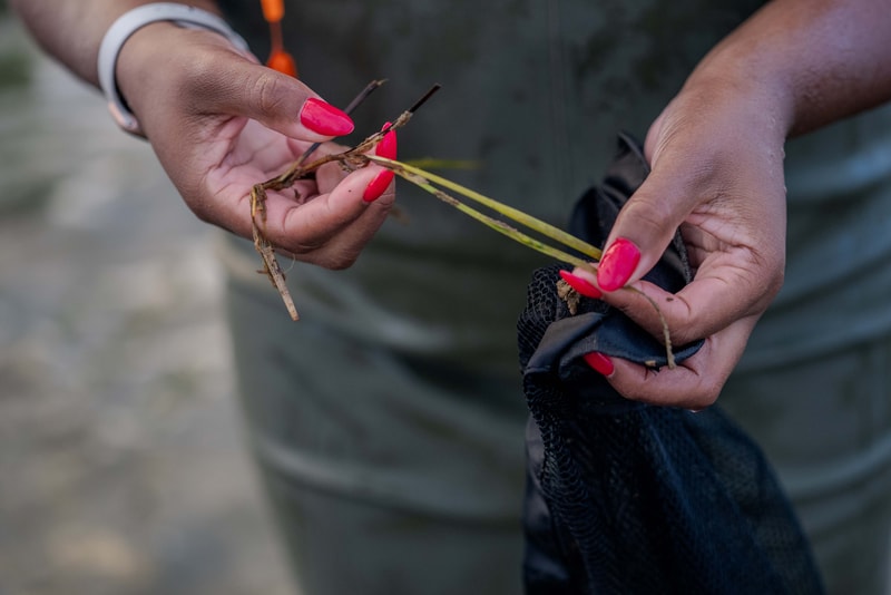Two hands with bright pink nail polish hold plant roots and a thin stem, one hand ties or inspects a small root strands near a black mesh bag.