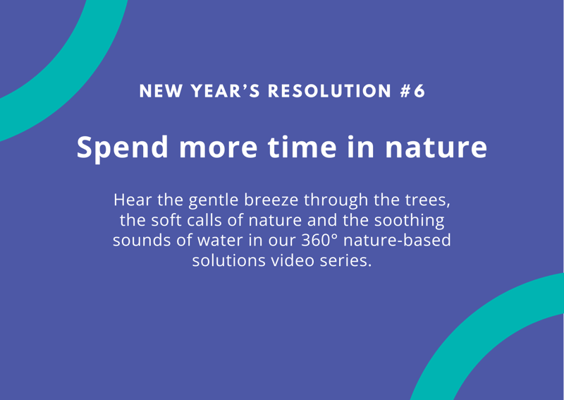 New Year’s Resolution #6: Spend more time in nature. Text on a blue background with teal arcs in the corners promoting a nature video series.