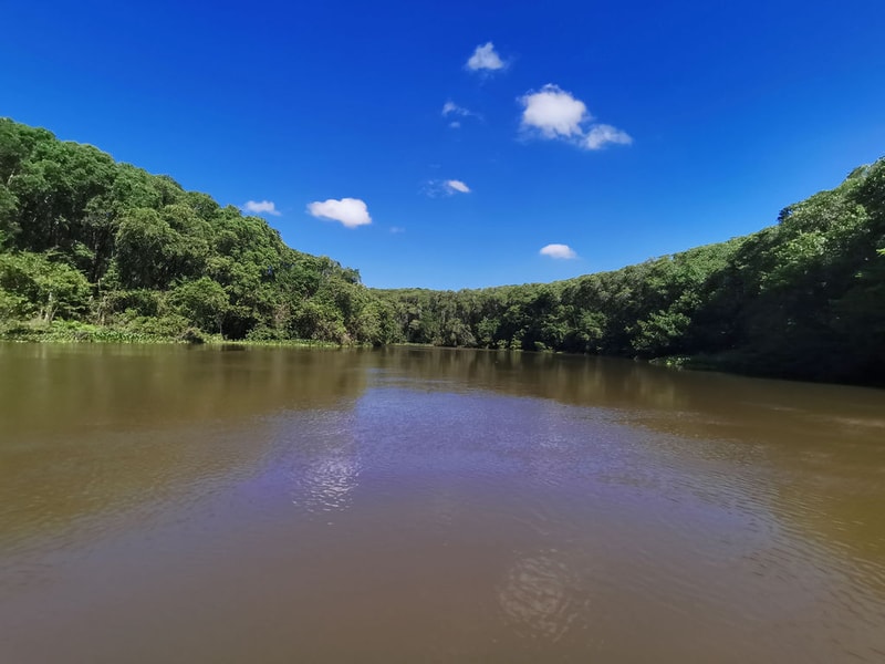 Tabasco Mangroves 26 Restoration of Ecosystem