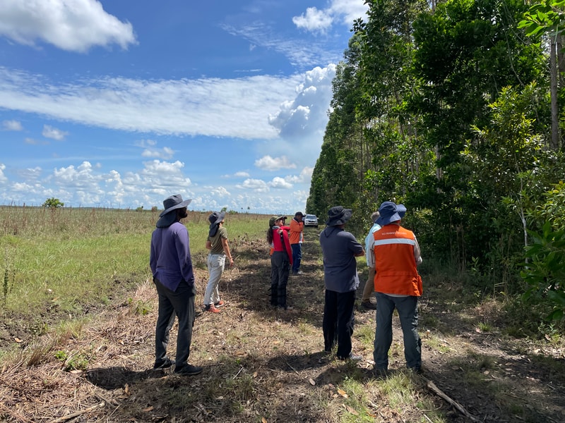 A group of people standing in a rural clearing beside a dense tree line, looking toward the sky on a sunny day with scattered clouds.