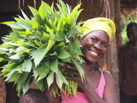 Smiling woman wearing a yellow headscarf holds a large bouquet of green leafy plants, with another person in the background near a rustic setting.