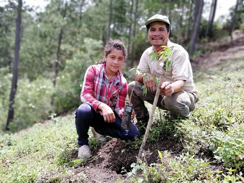 Two people plant a tree on a sloped hillside in a forest, one wearing a plaid shirt and the other in a light cap and beige shirt, both kneeling and smiling.