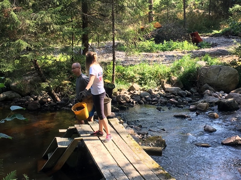 Two people stand on a weathered wooden platform over a shallow rocky stream in a forest, carrying buckets as they gather water or artifacts.