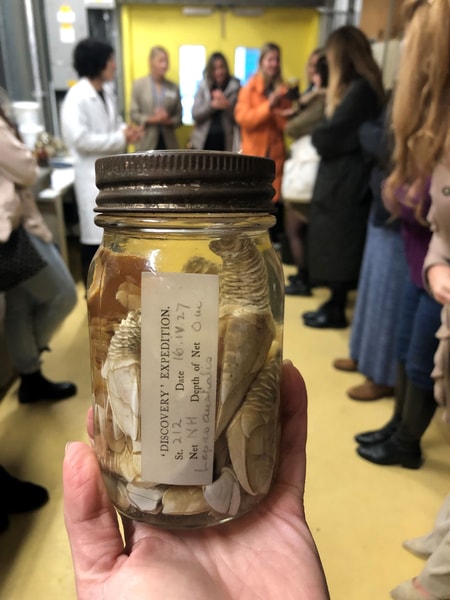 Jar filled with dried insect specimens labeled with a white tag; hand holding clear glass container with dark lid in a busy indoor setting.