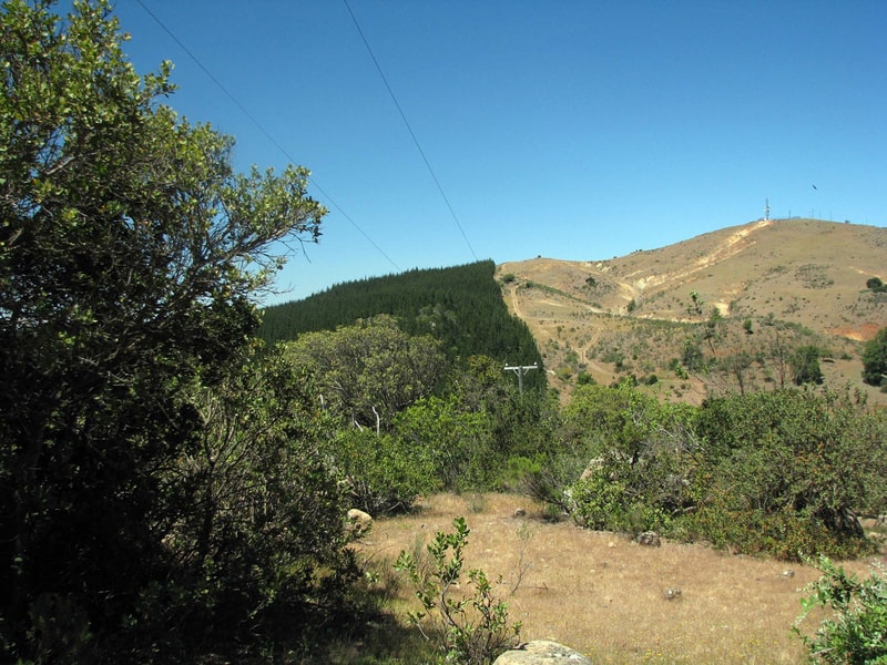 Hilly landscape under a clear blue sky with a mix of green shrubs in the foreground, a dense pine forest on the mid-hill, and a dry, rocky hill rising in the distance with a communications tower.