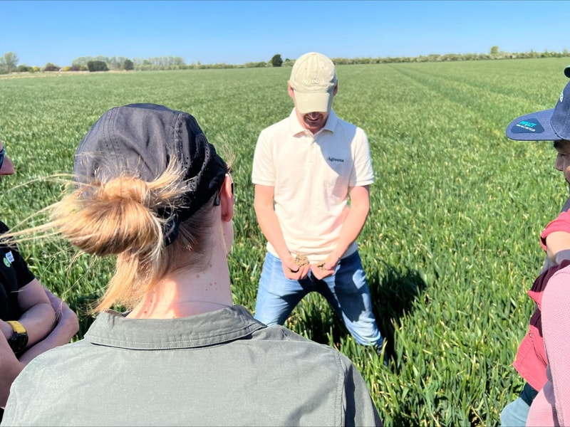 People stand in a green field, a man in a light polo and beige cap showing two clumps of something in his hands while others listen nearby under a clear blue sky.