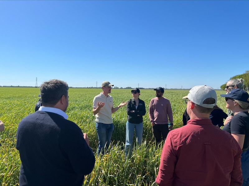 Group of people standing in a sunny field of tall crops, listening to a man in a light shirt who is gesturing and speaking to them. Clear blue sky overhead.