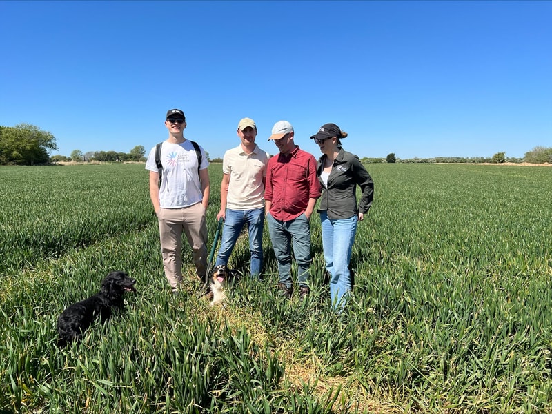 Four people stand in a green field with two dogs nearby on a sunny day; everyone wears casual outdoor clothing and hats, posing together.