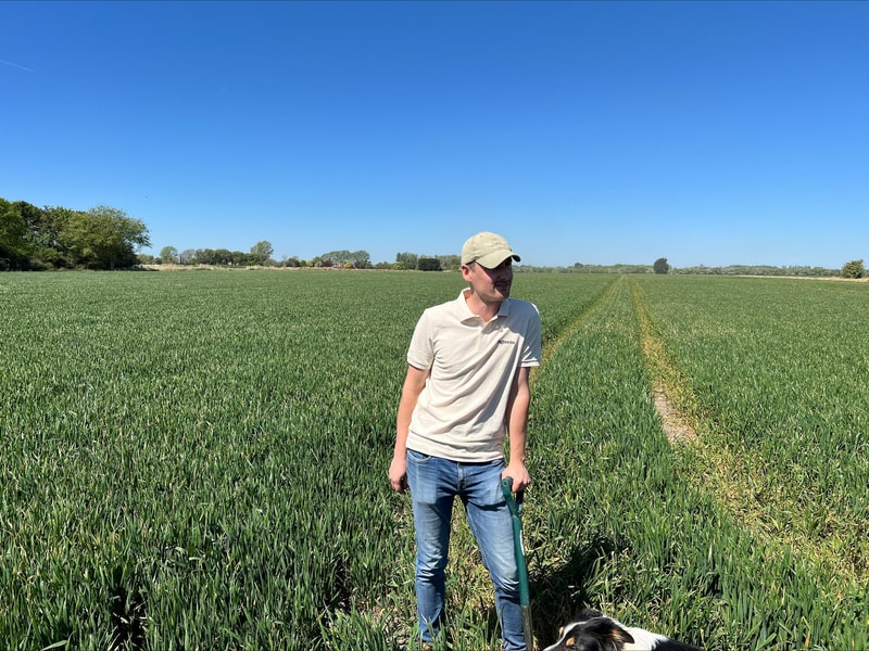 A man wearing a light polo and cap stands in a vast green crop field with a clear blue sky, holding a shovel, and a dog nearby at the bottom edge.
