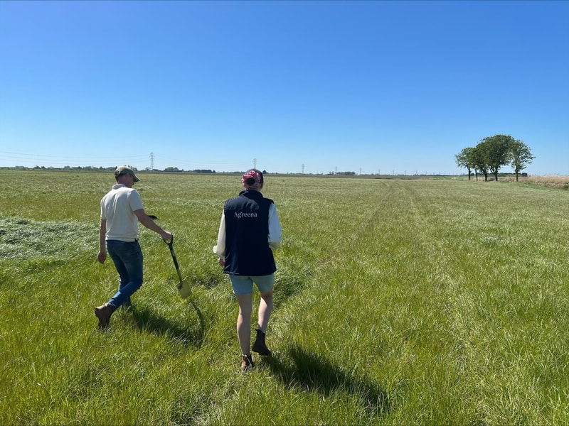 Two people walking through a wide green field on a sunny day, one carrying a shovel, distant trees and power lines on the horizon.