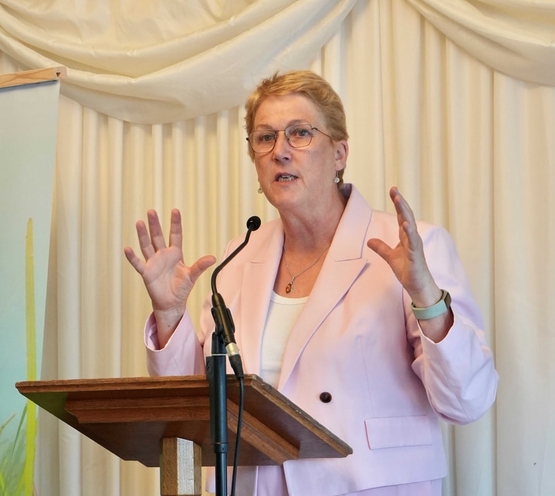 Speaker standing at a wooden podium, gesturing with both hands, wearing a light pink blazer, white top, glasses, and a watch, speaking into a microphone.