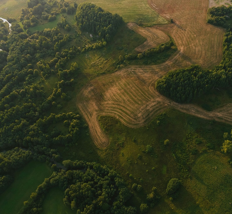 Aerial view of rolling farmland with curved, harvested fields bordered by dense green forests and scattered trees, illuminated by warm sunlight.