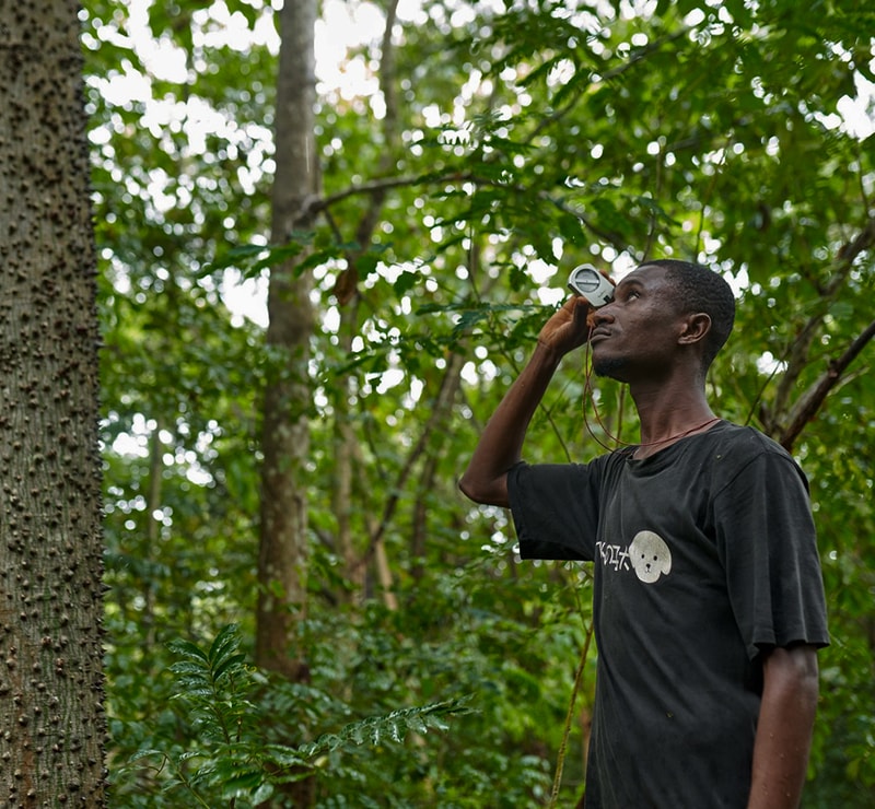 A man stands in a dense green forest, drinking from a small handheld canteen attached to a string, wearing a dark T-shirt and looking upward toward the trees.