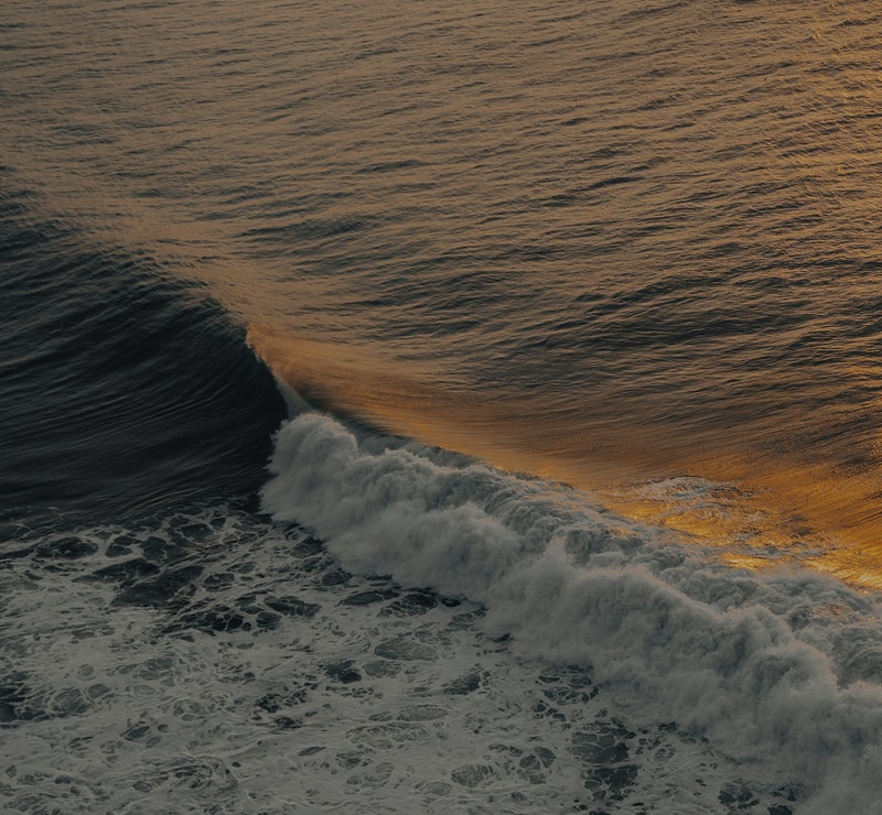 Rolling ocean wave at sunset, with golden light glinting on the crest and white foam spilling toward darker, foamy water below.
