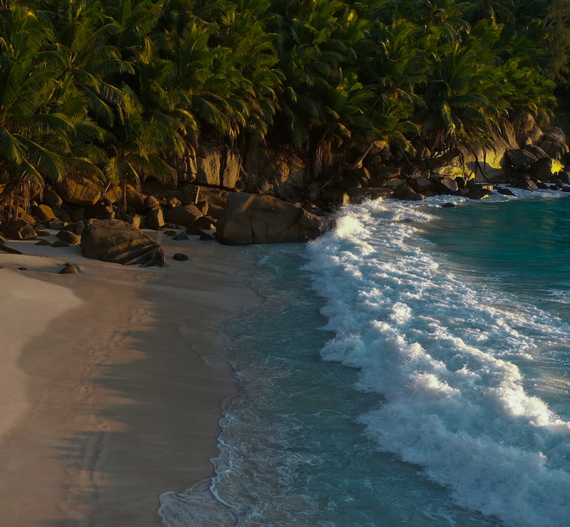 tropical beach with smooth sandy shore, large rocks near a dense palm forest, and turquoise waves crashing onto the shoreline under warm sunlight