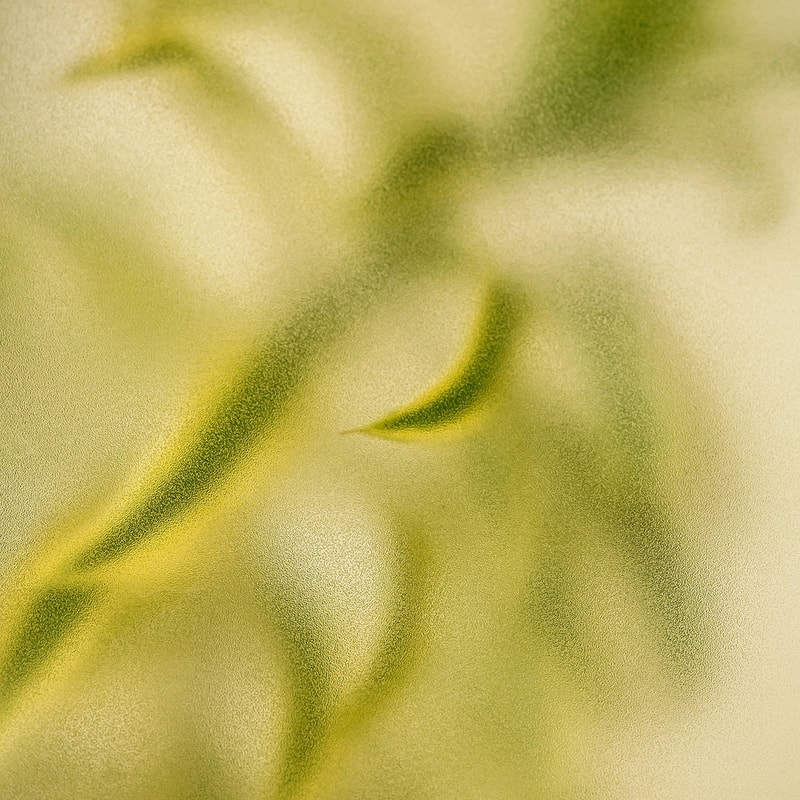 blurry abstract close-up of a pale yellow-green leaf with soft, foggy texture and gentle curves across the frame