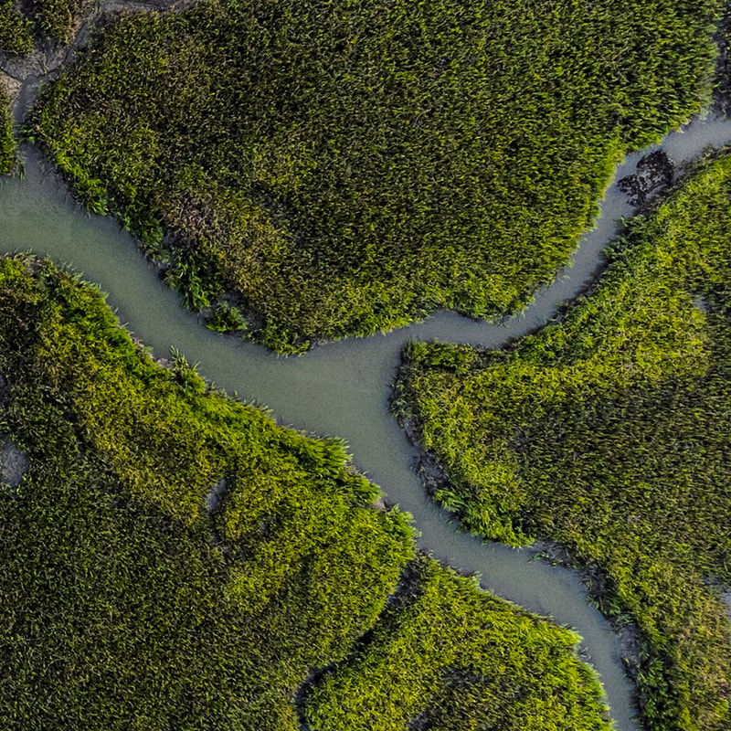 Aerial view of a winding river cutting through dense green mangrove forest, forming sharp curves and small inlets.