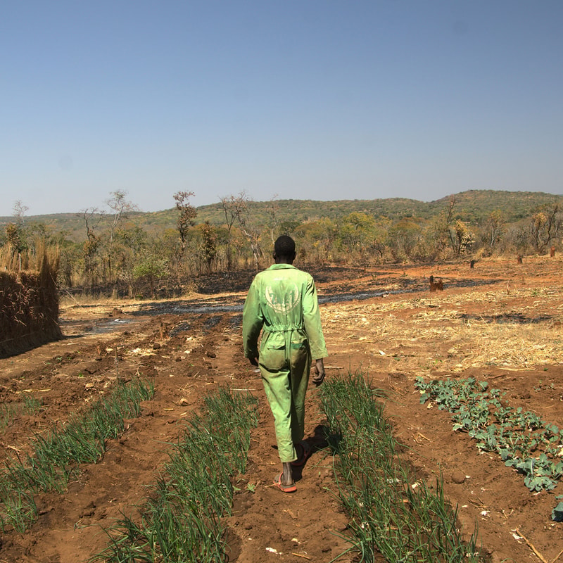 A person in a green jumpsuit walks away along a cultivated field with rows of small green plants, dry brown soil, and distant rolling hills under a clear blue sky.