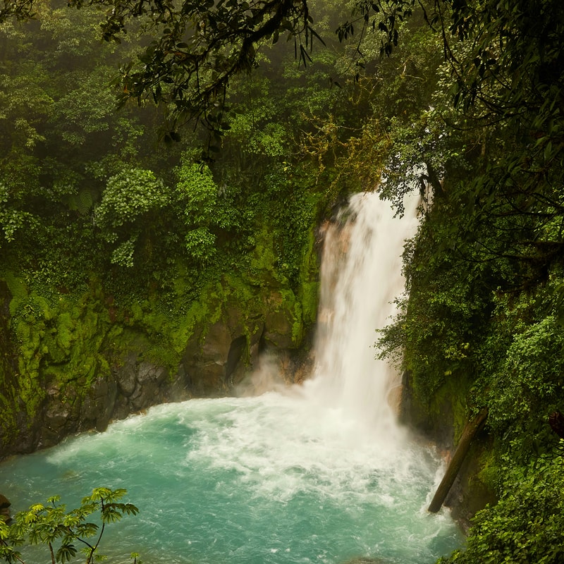 Lush rainforest surrounds a tall waterfall cascading into a turquoise pool, framed by green foliage and misty spray on rocky walls.
